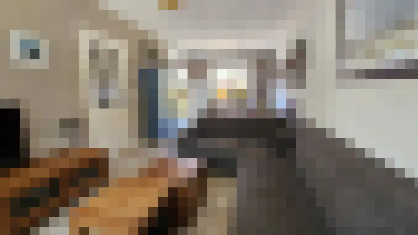 Tulpstraat 13 Koog aan de Zaan thumbnail 9