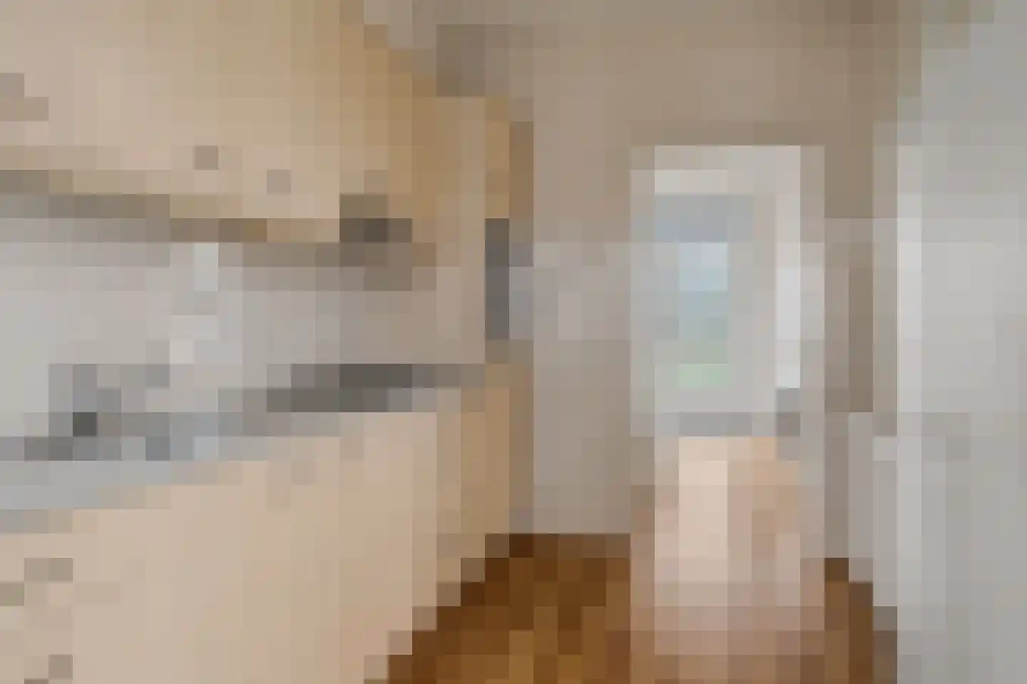 Tulpstraat 13 't Zand thumbnail 10