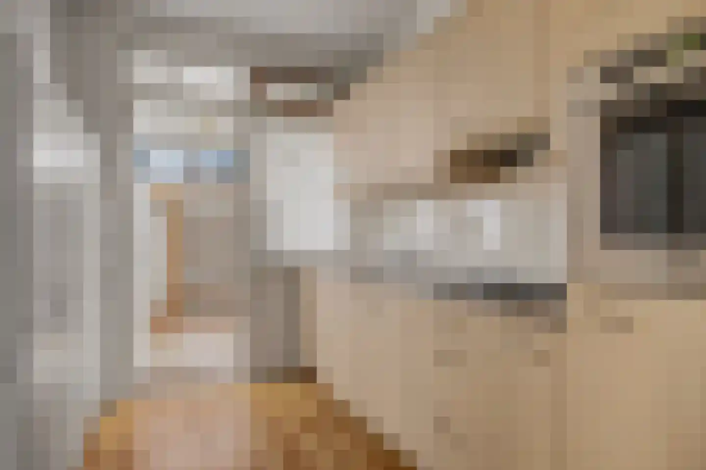 Tulpstraat 13 't Zand thumbnail 11