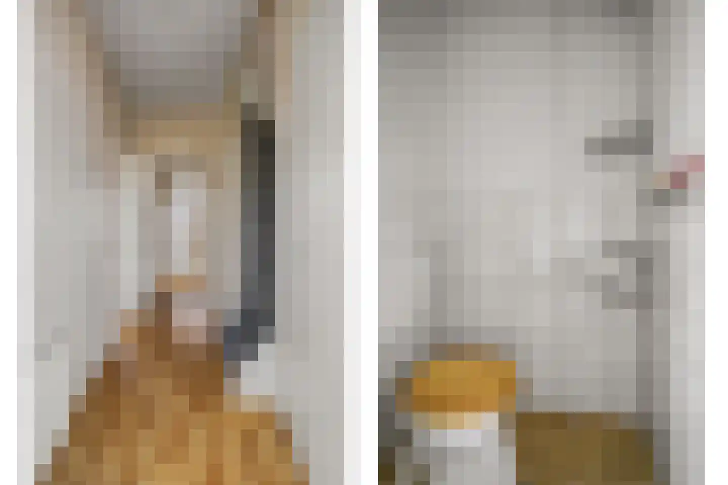 Tulpstraat 13 't Zand thumbnail 17