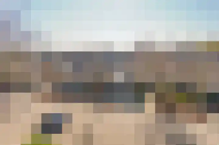 Tulpstraat 14 in Waarland