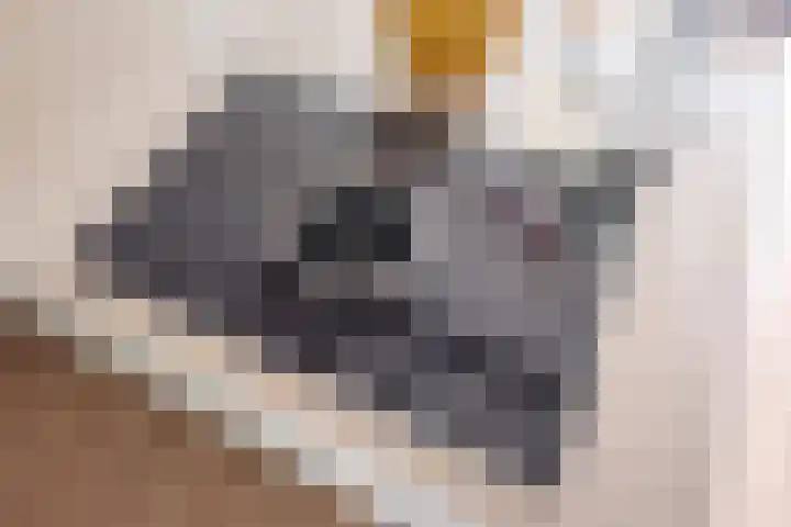 Tulpstraat 14 Gendringen thumbnail 14