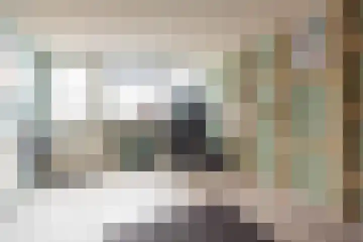 Tulpstraat 14 Gendringen thumbnail 18