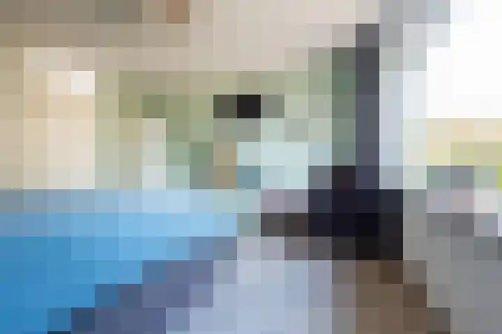 Tulpstraat 14 Gendringen thumbnail 23
