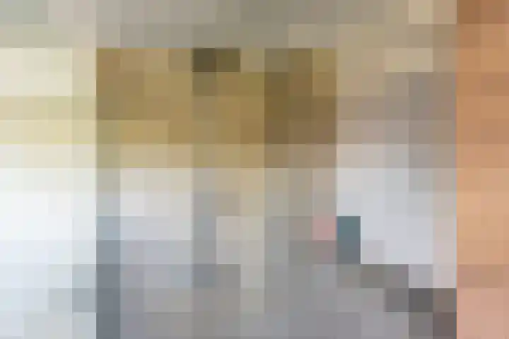 Tulpstraat 14 Gendringen thumbnail 28