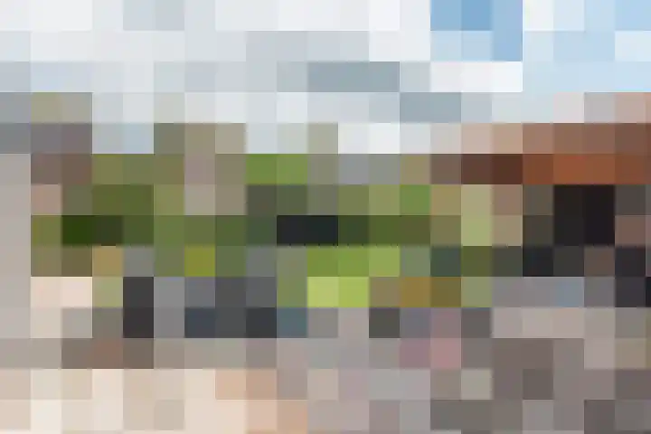 Tulpstraat 14 Gendringen thumbnail 42