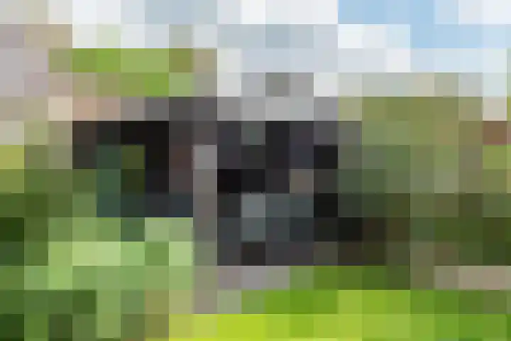 Tulpstraat 14 Gendringen thumbnail 43