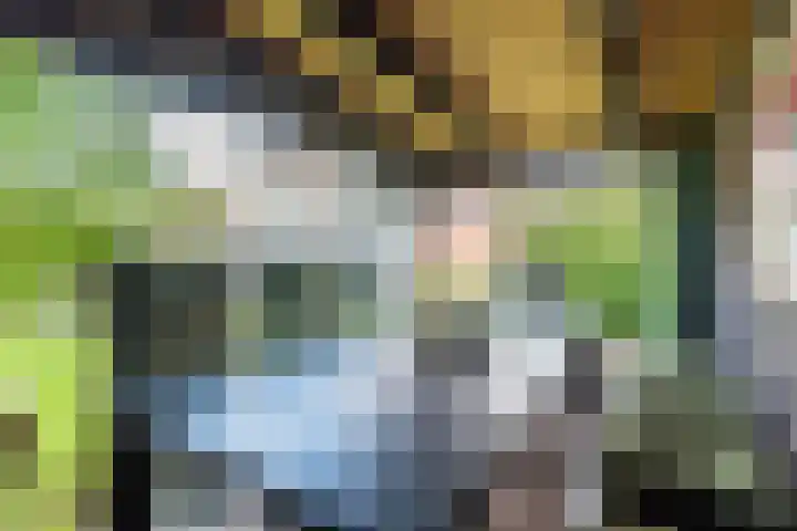 Tulpstraat 14 Gendringen thumbnail 44