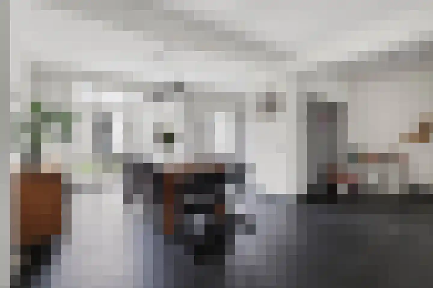 Tulpstraat 14 Sint-Oedenrode thumbnail 5