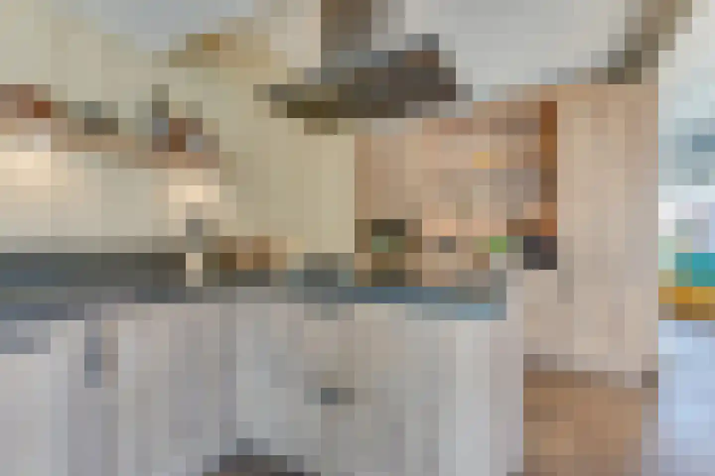 Tulpstraat 14 Waarland thumbnail 11