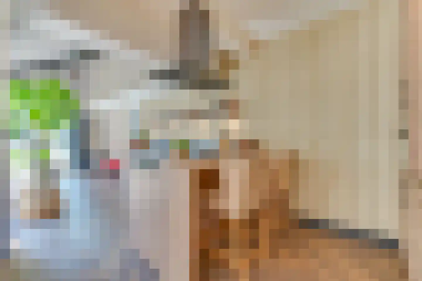 Tulpstraat 14 Waarland thumbnail 14