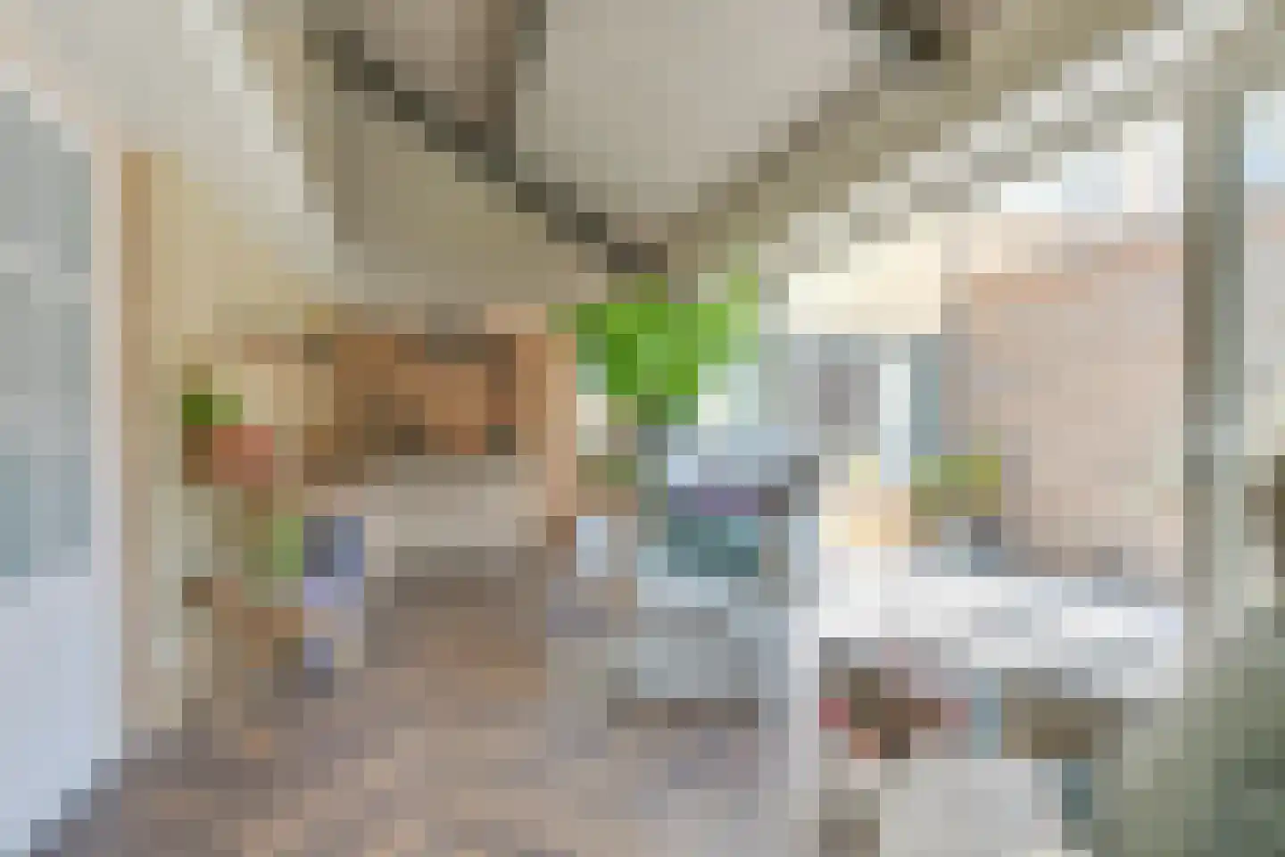Tulpstraat 14 Waarland thumbnail 17