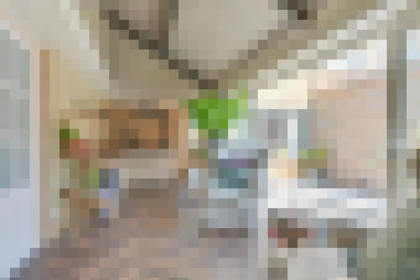 Tulpstraat 14 Waarland thumbnail 17