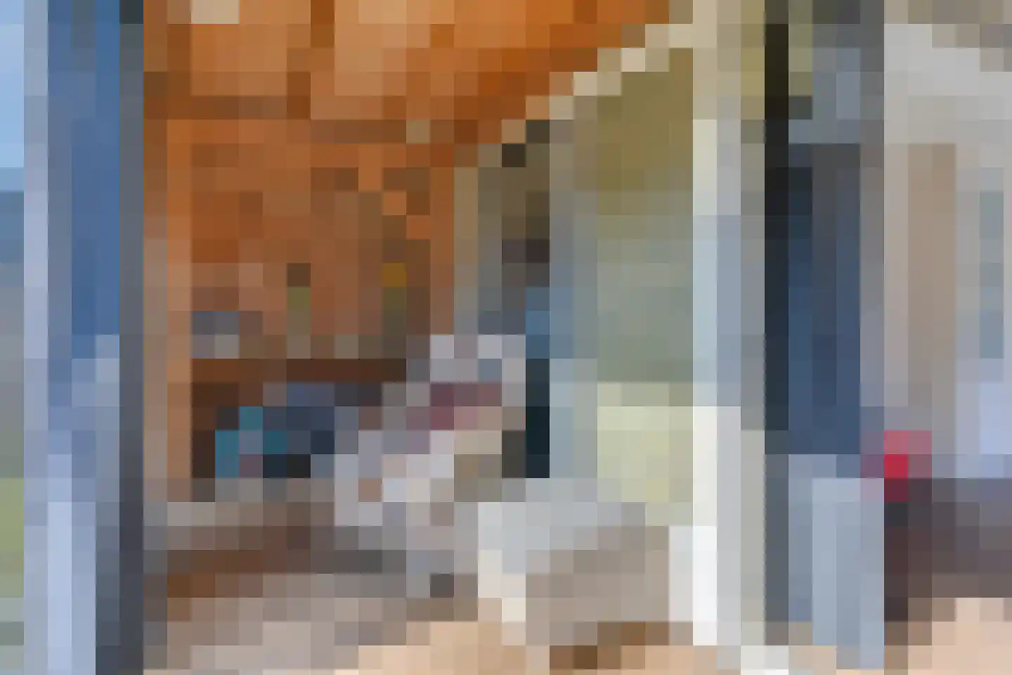 Tulpstraat 14 Waarland thumbnail 19