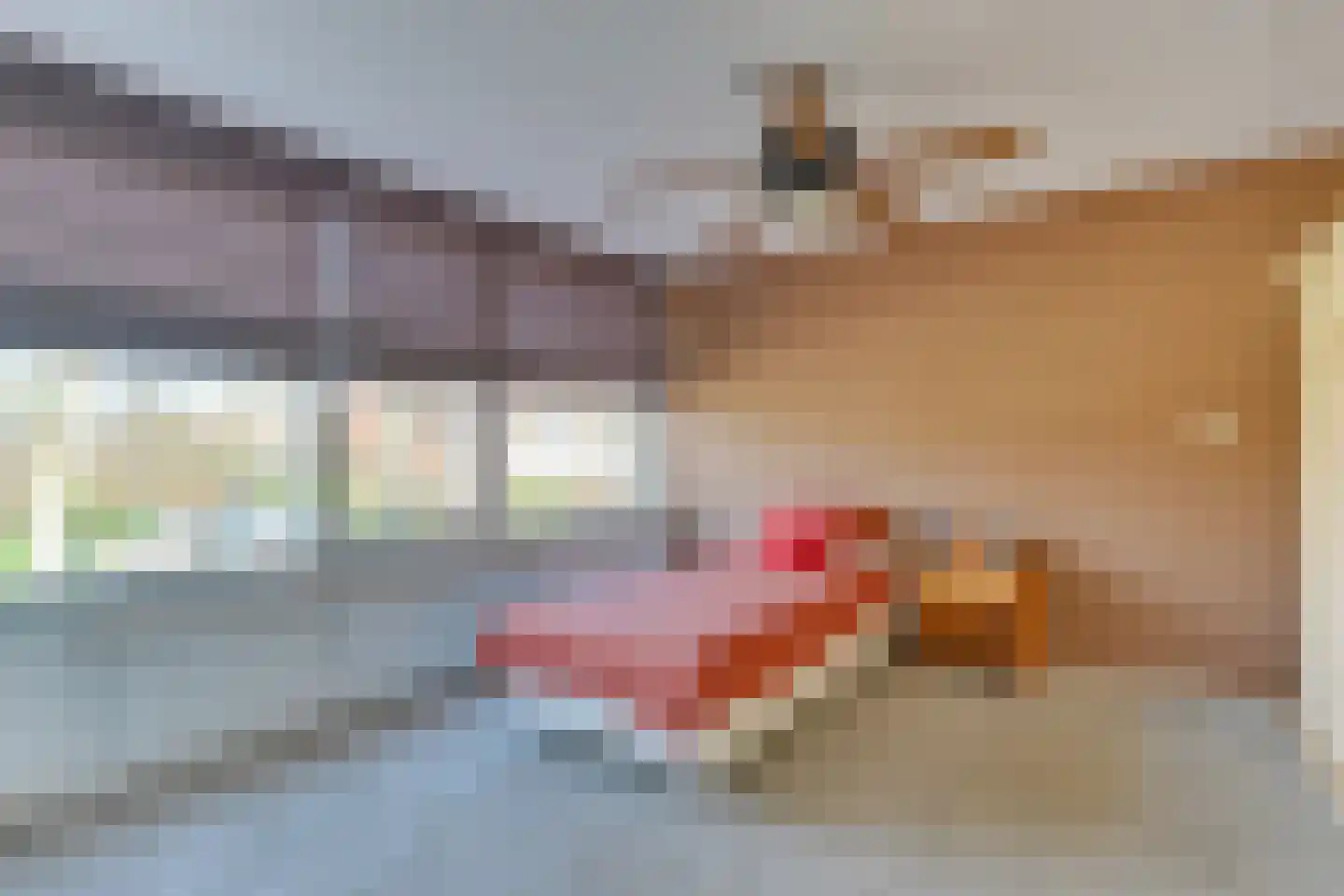 Tulpstraat 14 Waarland thumbnail 23