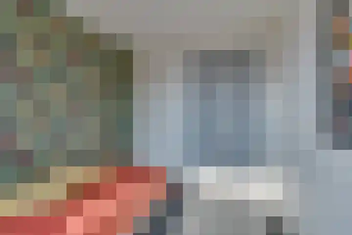 Tulpstraat 14 Waarland thumbnail 31