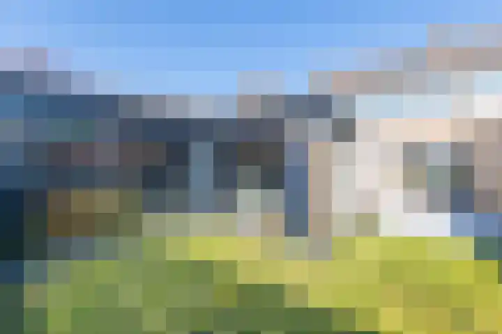 Tulpstraat 14 Waarland thumbnail 35