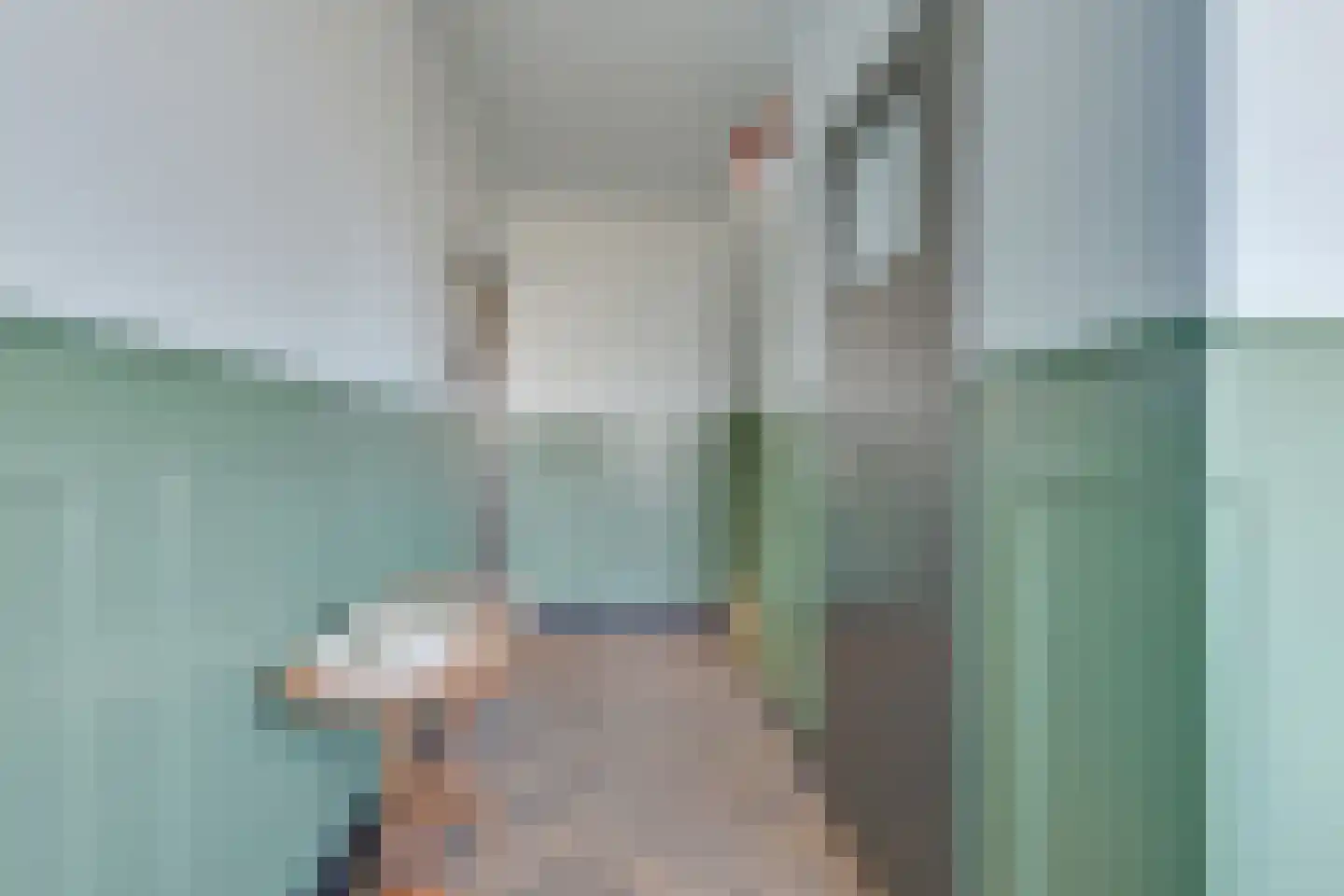 Tulpstraat 14 Waarland thumbnail 6