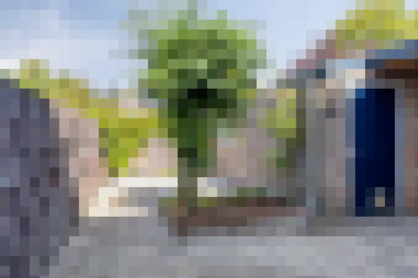 Tulpstraat 14 Winterswijk thumbnail 23
