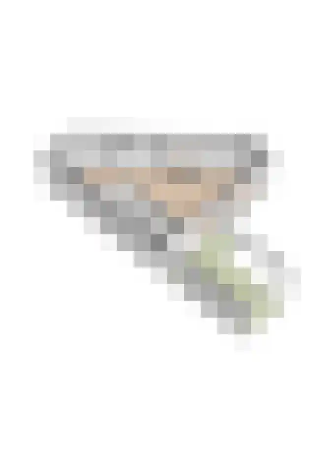 Tulpstraat 15 Waarland thumbnail 42