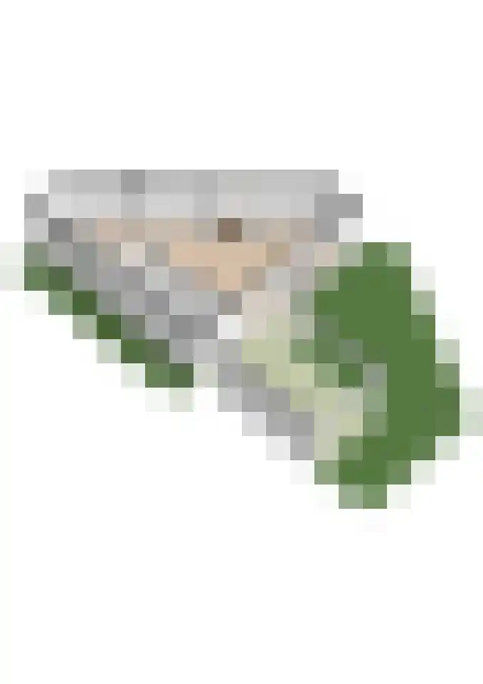 Tulpstraat 15 Waarland thumbnail 46