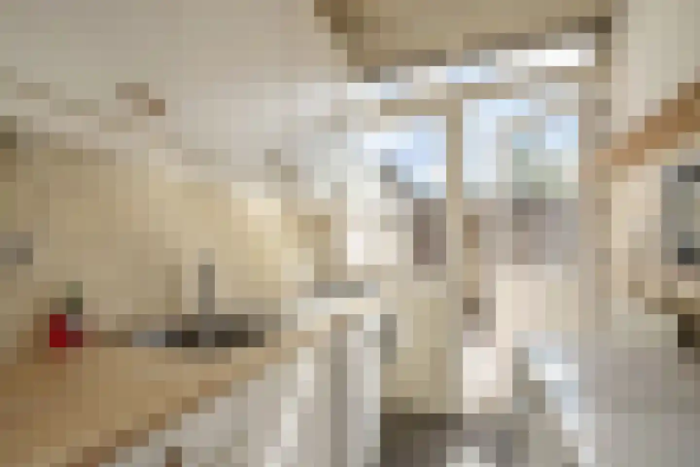 Tulpstraat 156 Rijswijk thumbnail 13