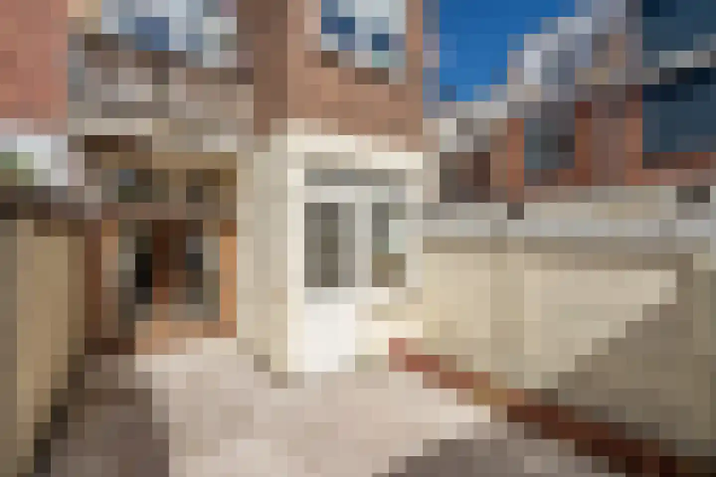 Tulpstraat 156 Rijswijk thumbnail 15