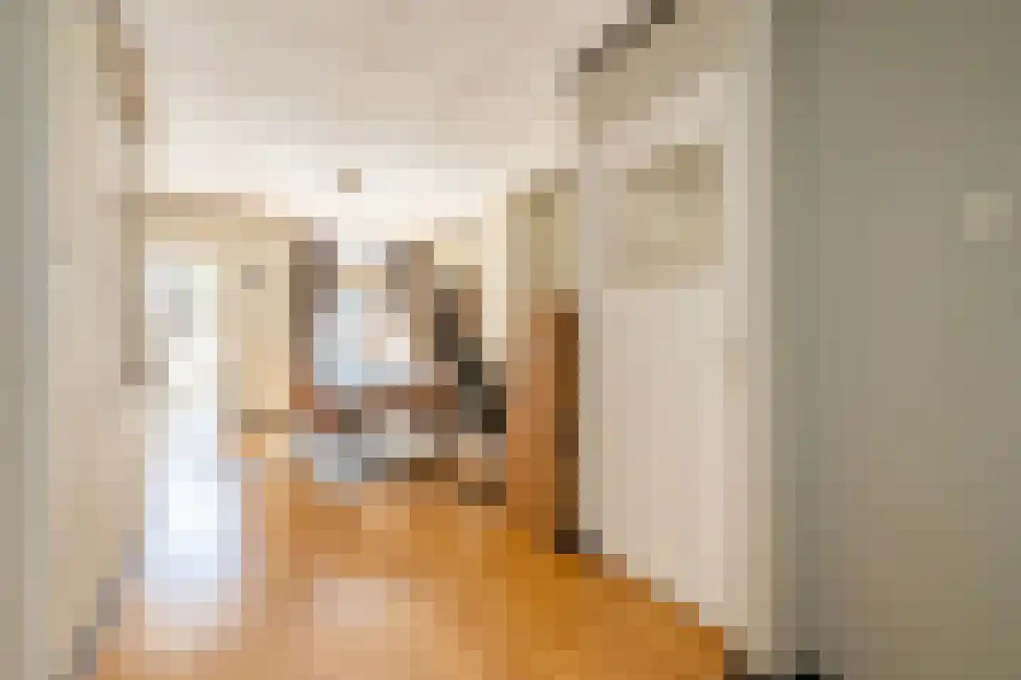 Tulpstraat 156 Rijswijk thumbnail 17