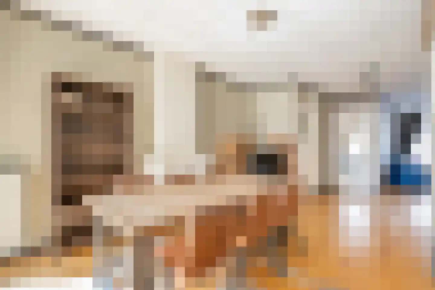 Tulpstraat 156 Rijswijk thumbnail 5