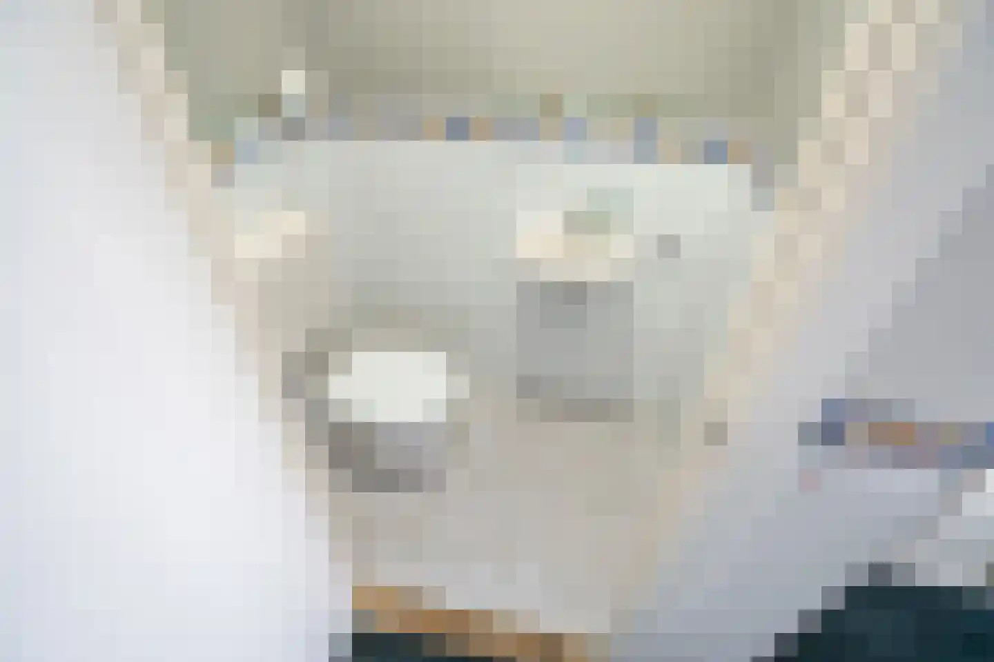 Tulpstraat 156 Rijswijk thumbnail 8