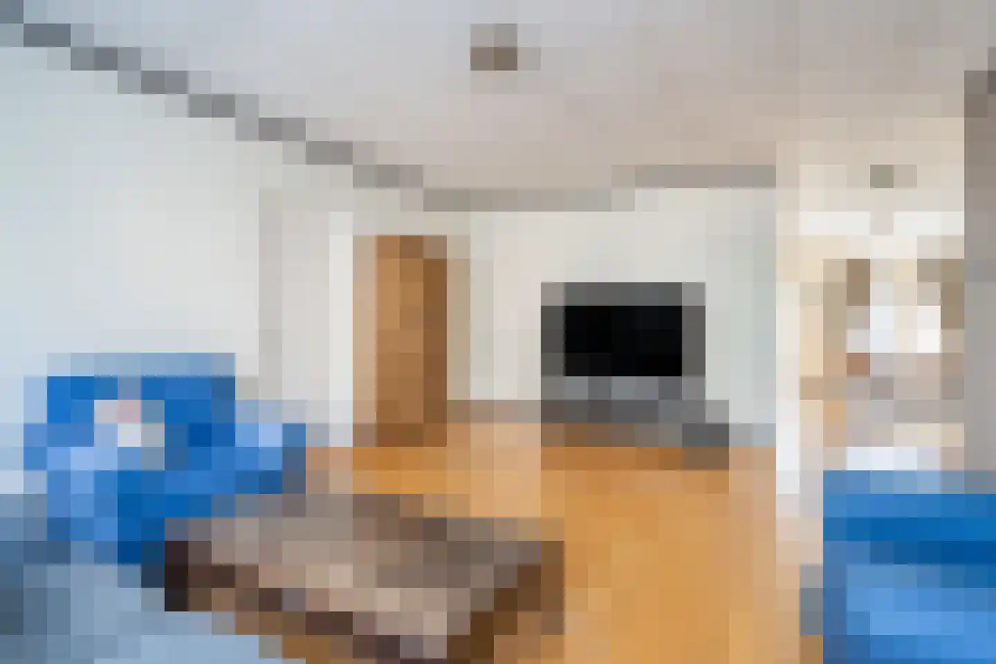 Tulpstraat 156 Rijswijk thumbnail 9