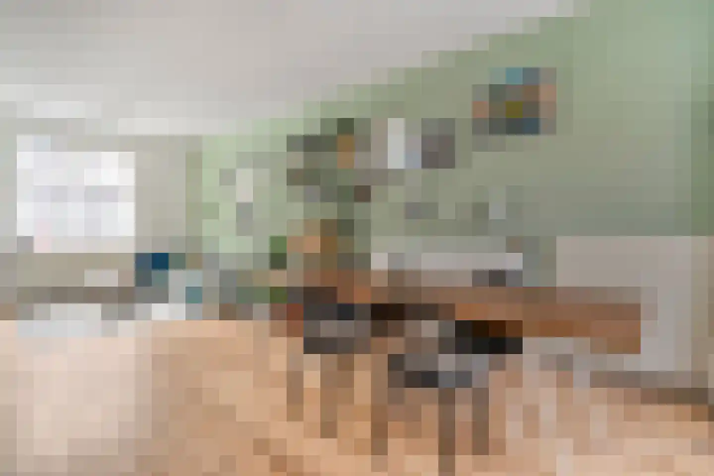 Tulpstraat 16 Zwolle thumbnail 10