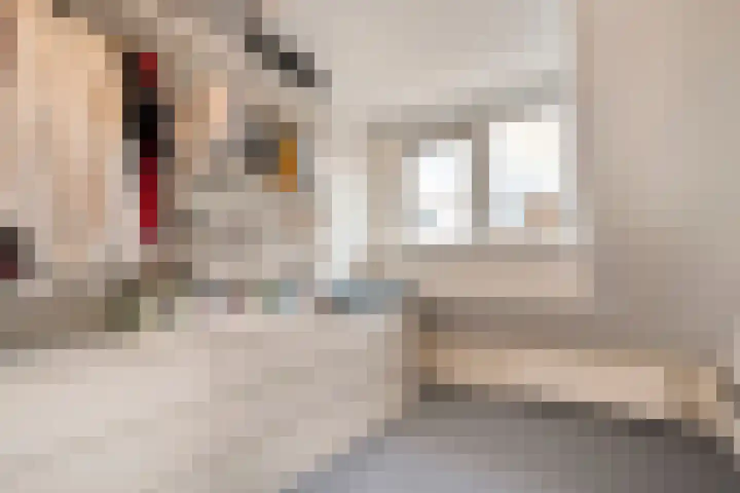 Tulpstraat 16 Zwolle thumbnail 17