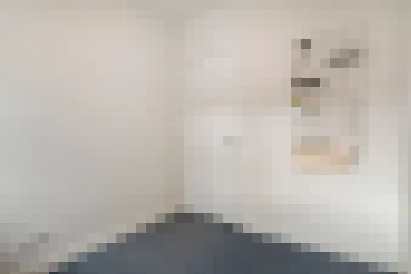 Tulpstraat 16 Zwolle thumbnail 20