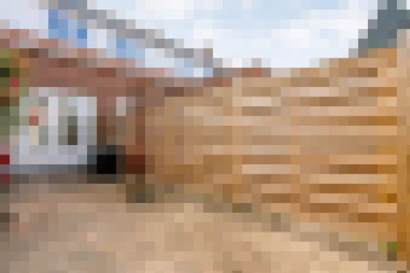 Tulpstraat 16 Zwolle thumbnail 29
