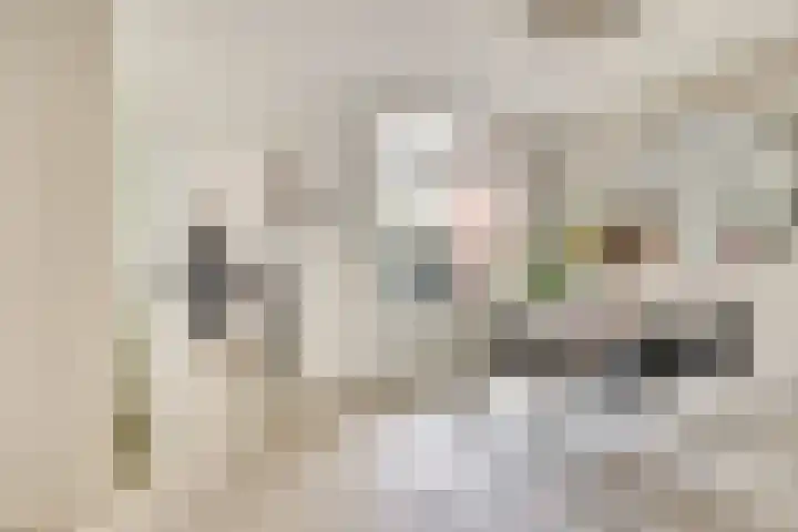 Tulpstraat 17 Culemborg thumbnail 8