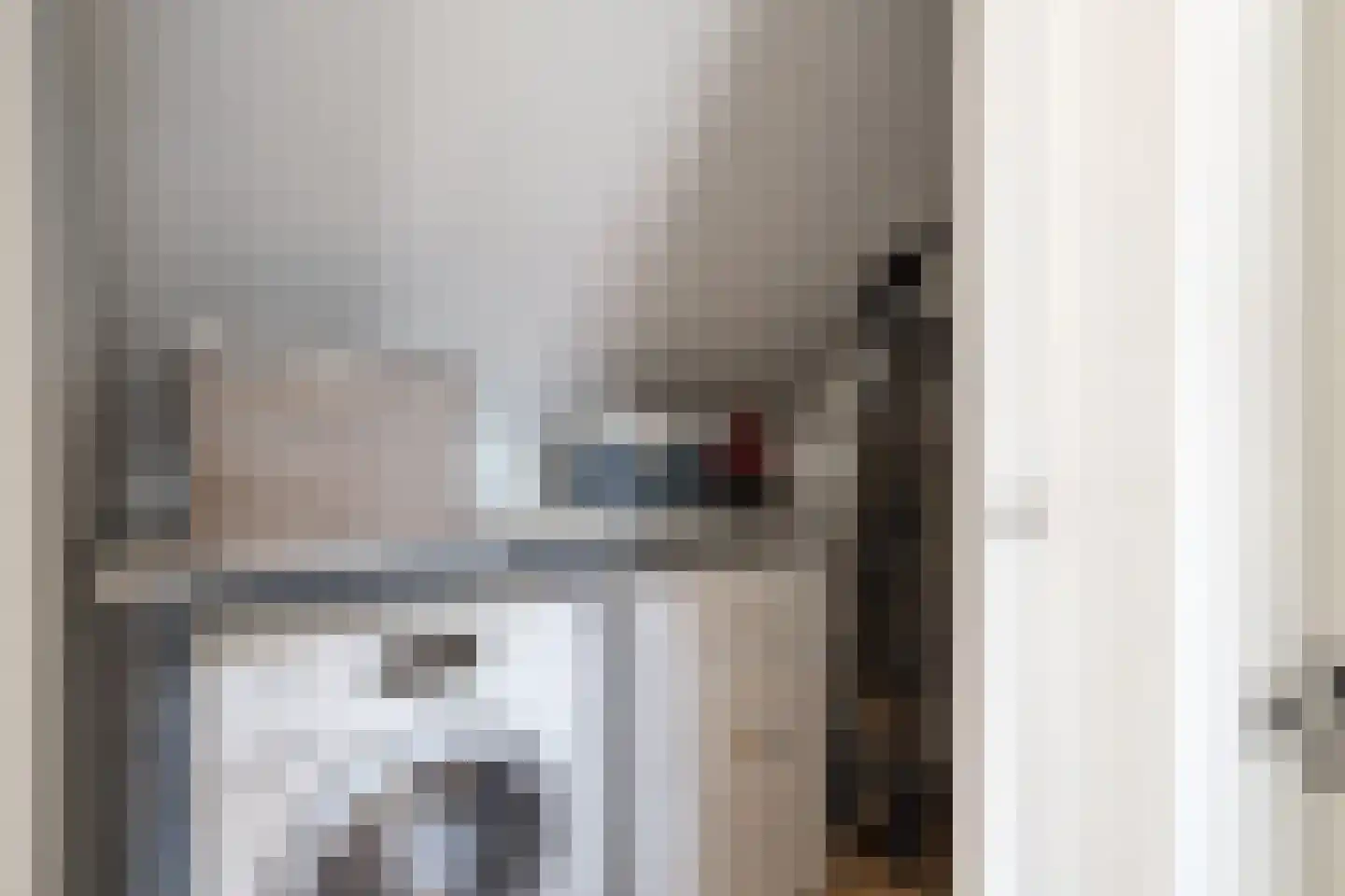 Tulpstraat 17 Eindhoven thumbnail 24