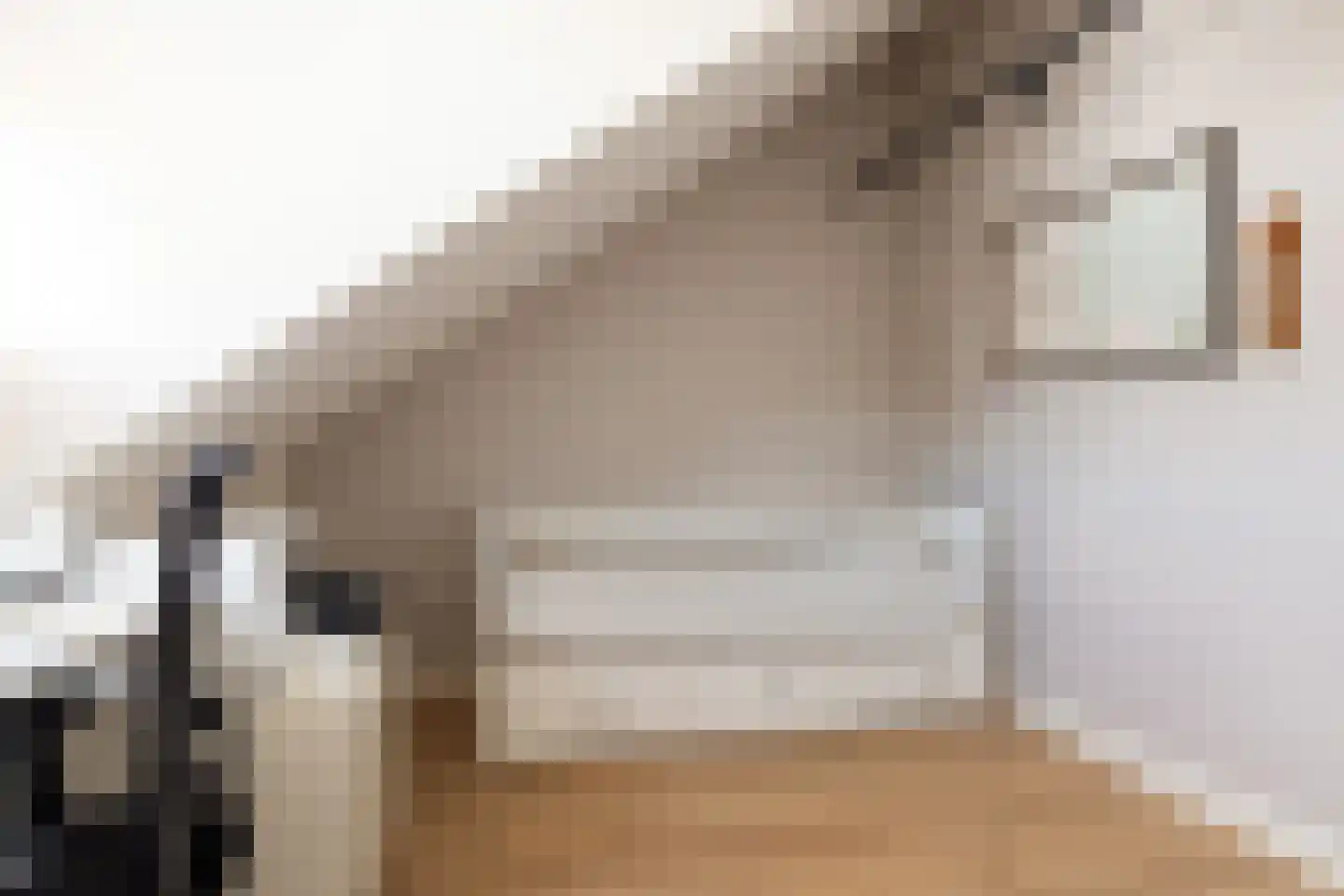 Tulpstraat 17 Eindhoven thumbnail 26