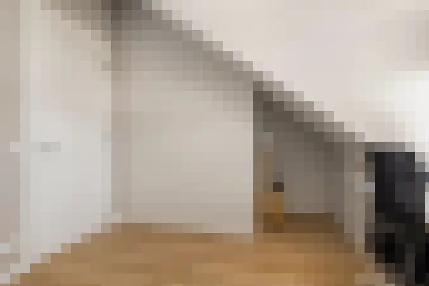 Tulpstraat 17 Eindhoven thumbnail 27