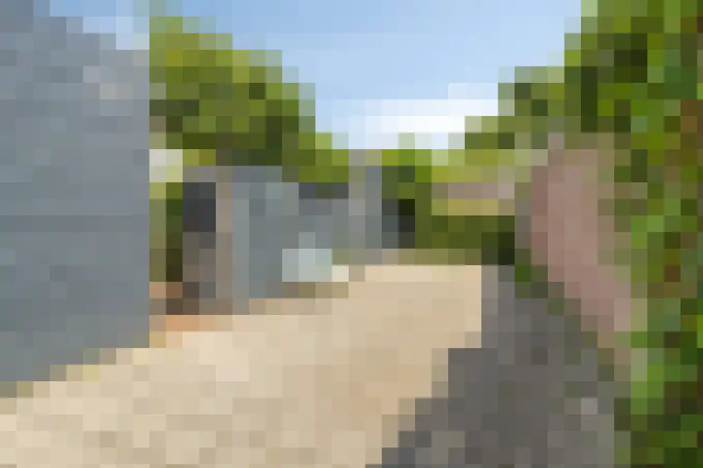 Tulpstraat 17 Eindhoven thumbnail 30