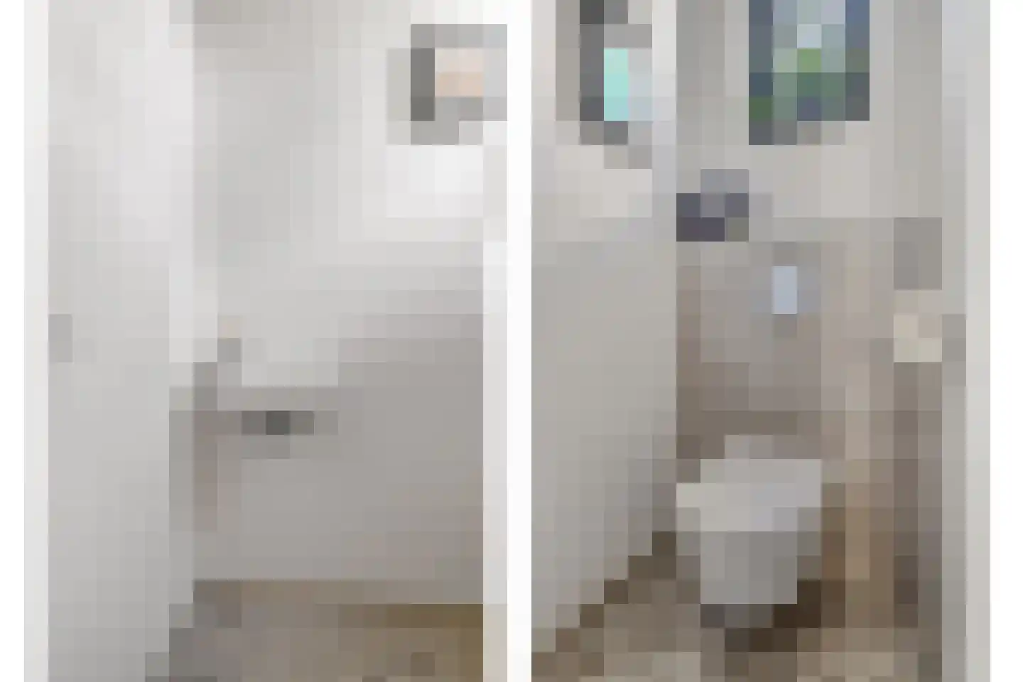 Tulpstraat 17 Eindhoven thumbnail 8