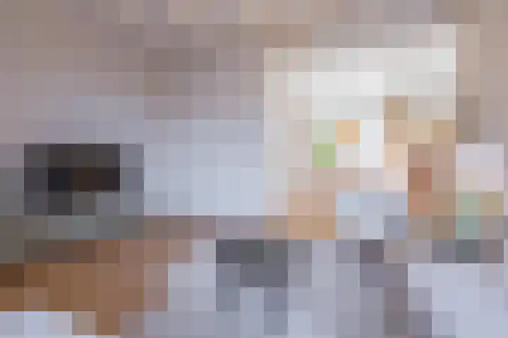 Tulpstraat 17 Tiel thumbnail 13