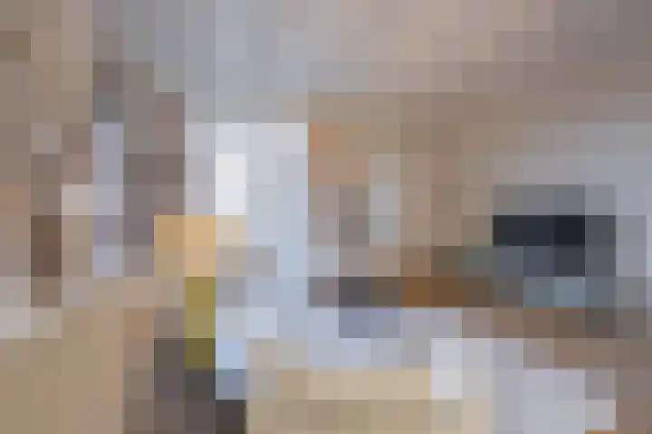 Tulpstraat 17 Tiel thumbnail 20