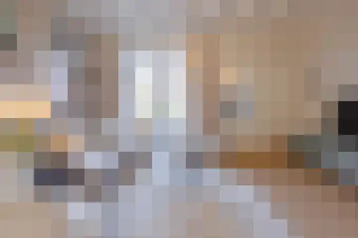Tulpstraat 17 Tiel thumbnail 21