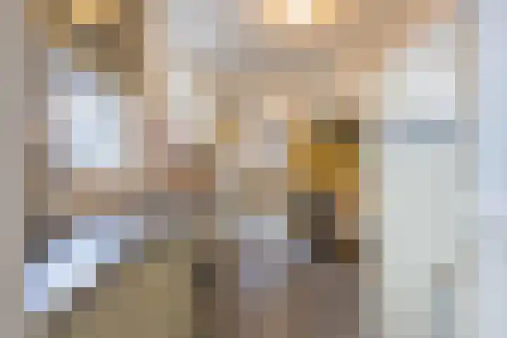 Tulpstraat 17 Tiel thumbnail 23