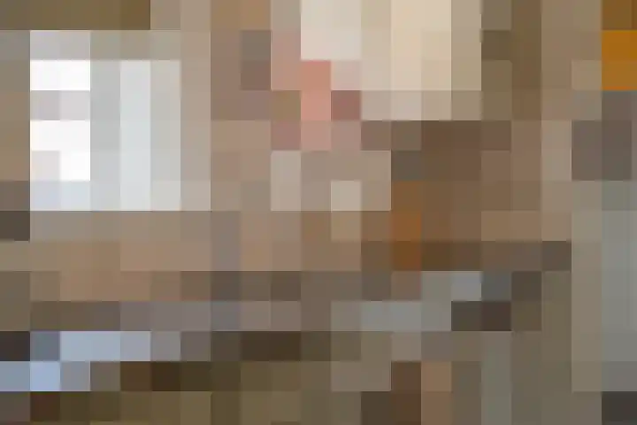 Tulpstraat 17 Tiel thumbnail 24