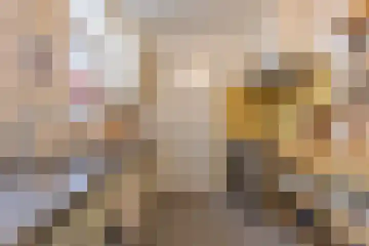 Tulpstraat 17 Tiel thumbnail 25