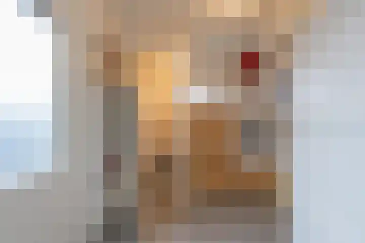 Tulpstraat 17 Tiel thumbnail 27