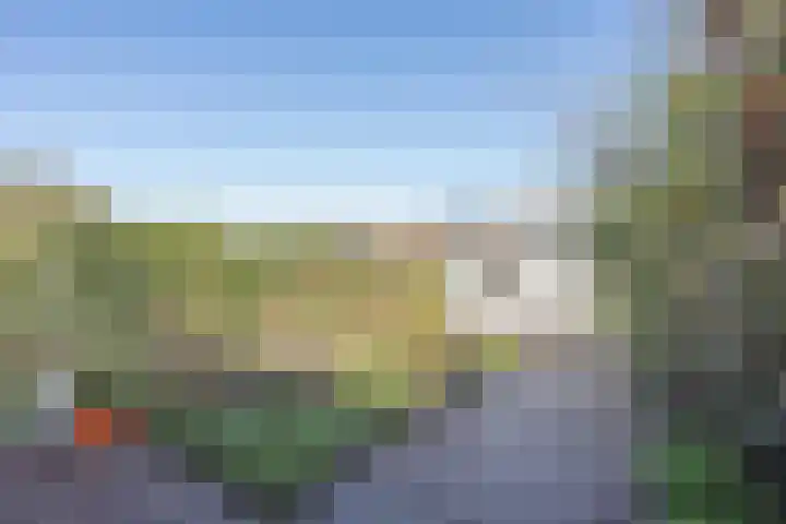 Tulpstraat 17 Tiel thumbnail 31