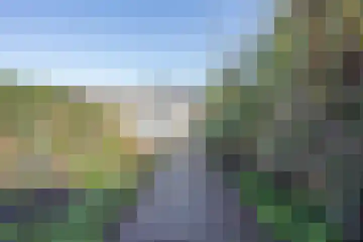 Tulpstraat 17 Tiel thumbnail 33